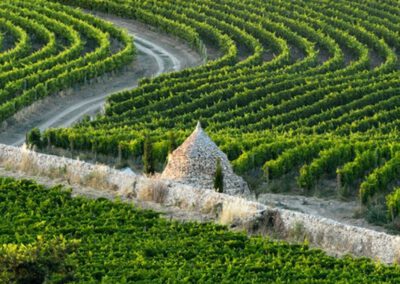 Cantina Amastuola – Salento (Italien)