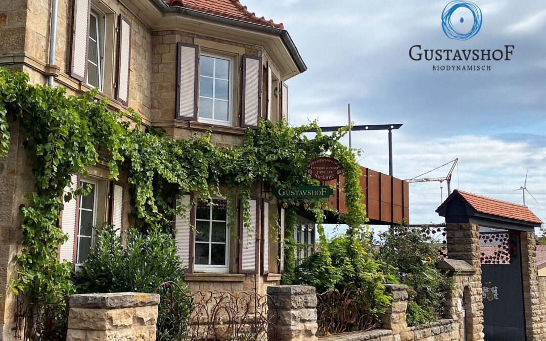 Weingut Gustavshof – Gau Heppenheim (Rheinhessen)