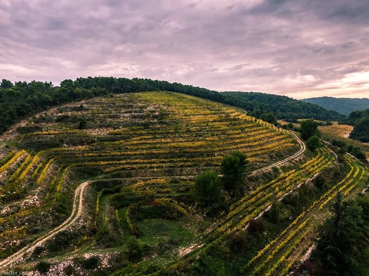 Domaine Malmont – Séguret Côtes du Rhône Villages